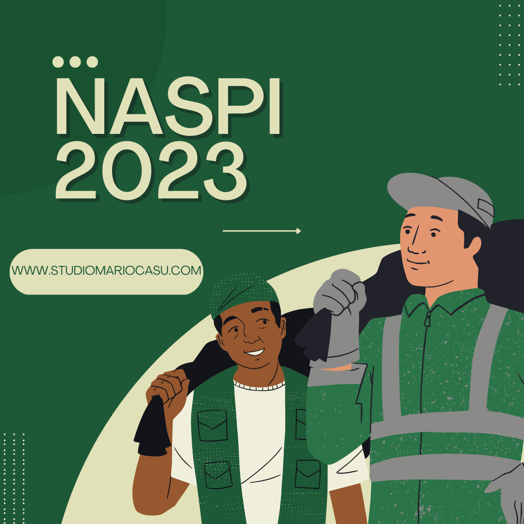 NASPI 2023